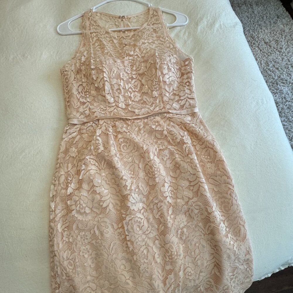Hitherto Womens Mini Lace Dress Size 4 Champagne Color